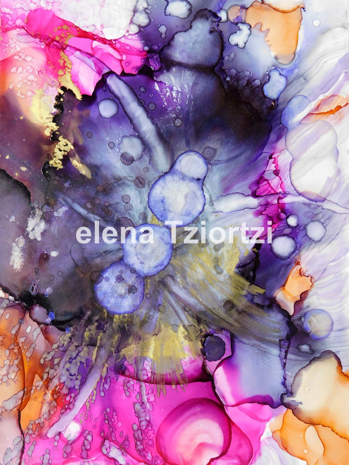 butterfly small artwork print