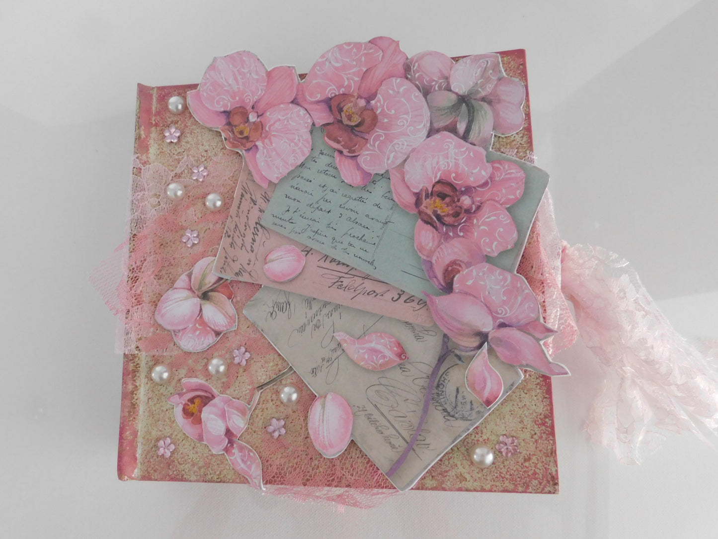 The Cats and Orchids Album