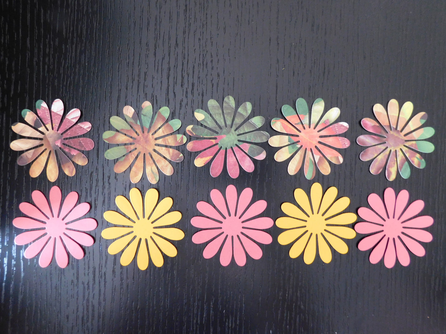 Daisies Paper Cuts Pack