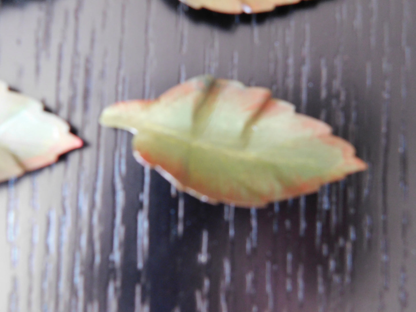 Handpainted Paper Leaves