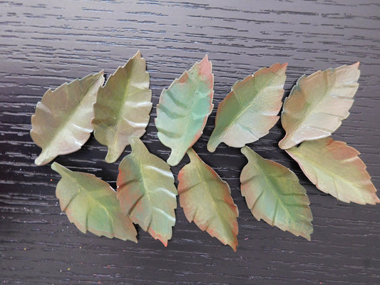 Handpainted Paper Leaves