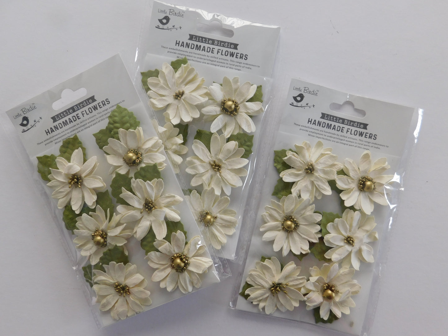 Ivory Daisies