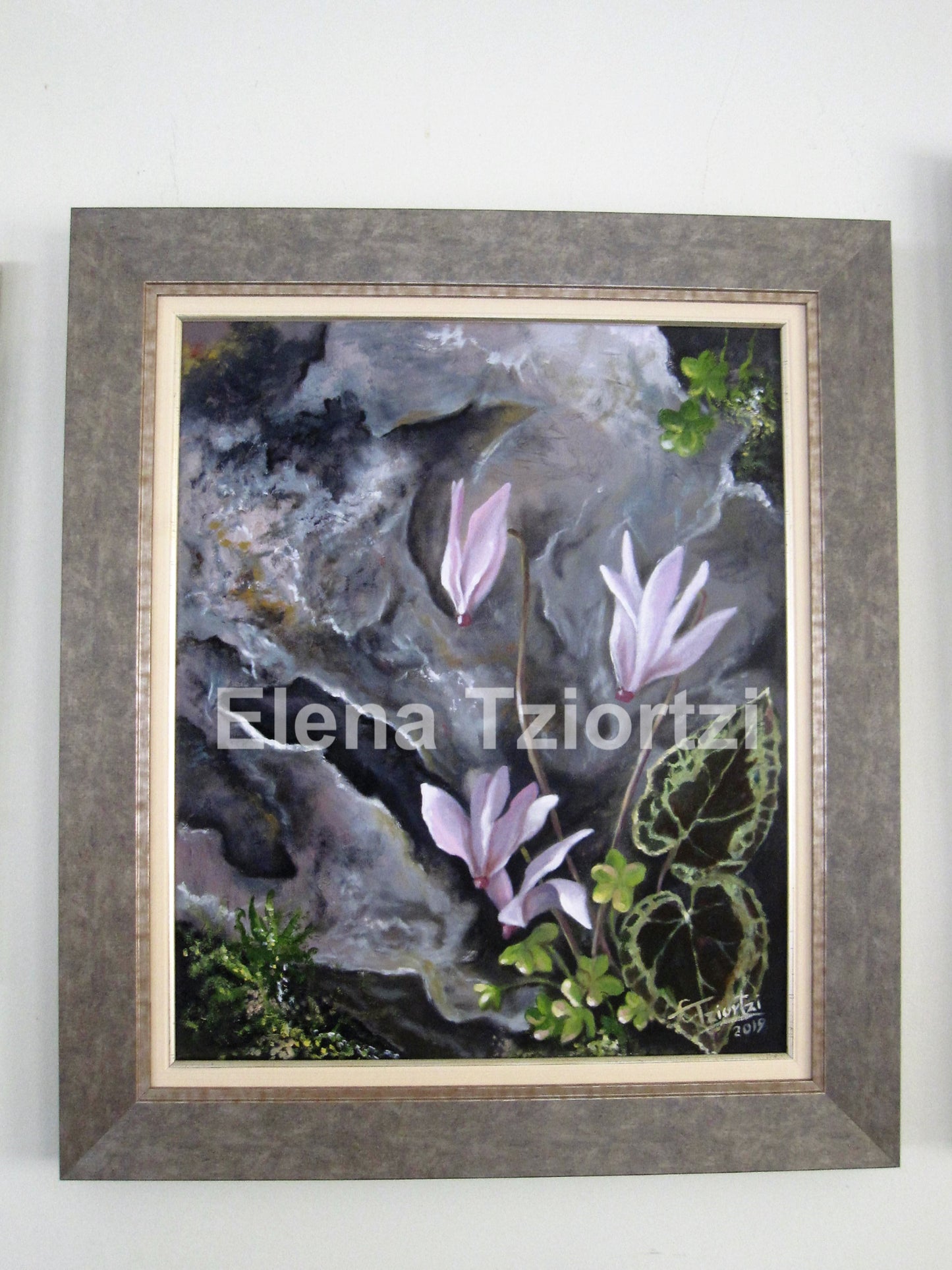 cyclamen in art